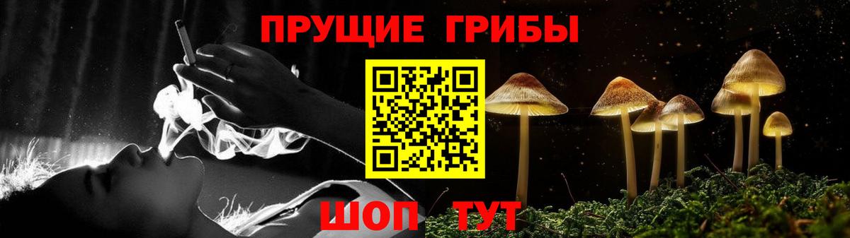 Псилоцибиновые грибы Magic Shrooms  Вход с VPN  Керчь 